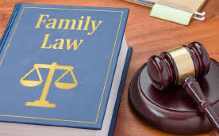 Facing Family Legal Matters? A Closer Look at Common Issues