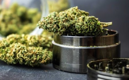 What Qualities Define the Best Weed Dispensary DC Experience?