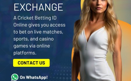 TigerExch Online Betting Platform Overview and Features