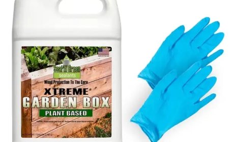 Best Food Safe Paint Sealers for Your DIY Projects