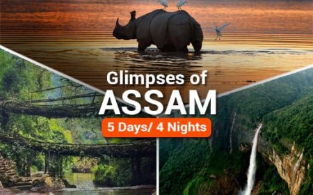 Explore Northeast India with Guwahati Tour Packages