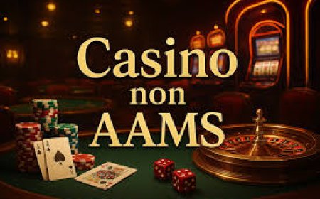 Casinò Non AAMS: Come Evitare Truffe e Giocare in Sicurezza su Piattaforme Esterne