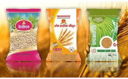 BOPP Bags: Combining Strength, Style, and Sustainability