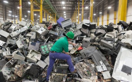 The Benefits of Professional CRA Destruction Services