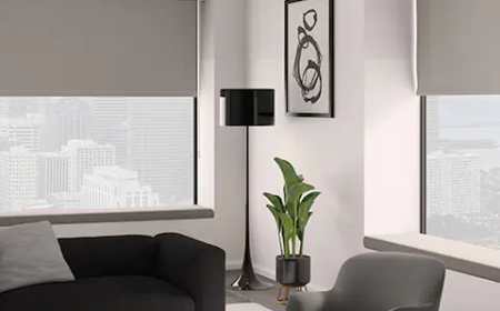 Minimalist Home Design with Roller Shades – A Complete Guide