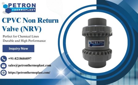 CPVC Non Return Valve – Perfect for Chemical Lines