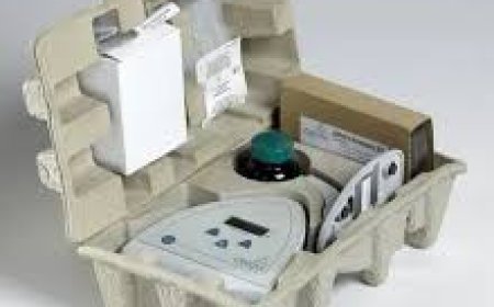 How Molded Pulp Packaging Is Transforming Sustainable Packaging