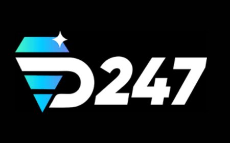 D247 ID Review: Safe Betting Platform