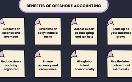 Why Should You Hire an Offshore Accountant for Your Business?