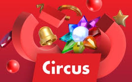 Circus Casino 2025: Alles Wat Je Moet Weten over Spellen, Bonussen en Veiligheid