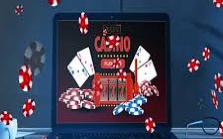 De Opkomst van Live Casino’s in 2025: Wat Je Moet Weten