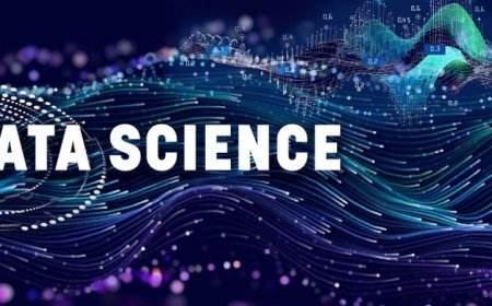 Data Patterns in Kolkata's Real Estate via Clustering