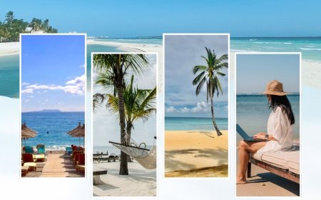 How A Skyscanner Clone Can Elevate Your Rental Business Success?