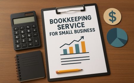 Science of Selection of a Service Provider for Bookkeeping for Startups