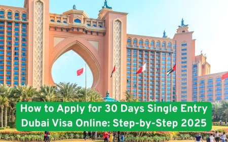 How to Apply for 30 Days Single Entry Dubai Visa Online: Step-by-Step 2025