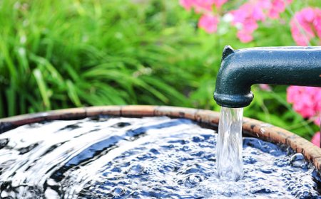 How Bacteria and Microorganisms Affect Well Water Quality and Safety