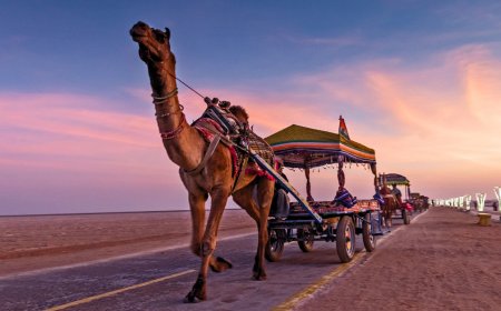Why Your Next Holiday Should Be a Gujarat Trip