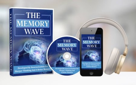 Why The MemoryWave Is the #1 Supplement for Memory and Clarity This Year