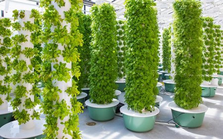Your Ultimate Guide to Starting an Aeroponic Tower Garden at Home