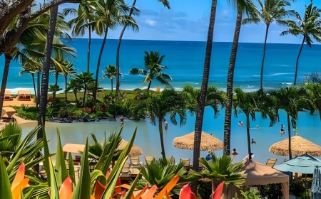 What to look for in a Tahiti travel agent specialist​