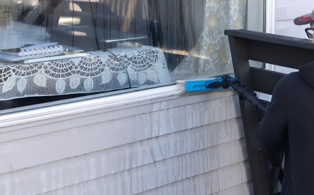 Who Offers the Most Reliable Window Washing in Calgary?