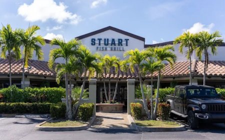 The Art of Plating Seafood at Casual Restaurants in Stuart Florida