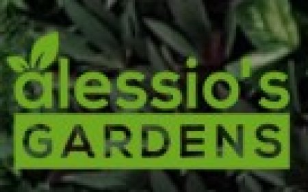 Sophisticated Poolside Greenery That Blends Beauty with Lasting Functionality