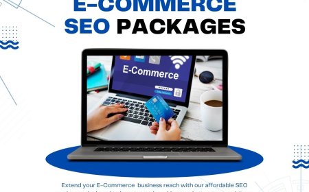 SEO Packages in India: Affordable, Scalable & Results-Driven Solutions for Every Business