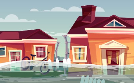 Step-by-Step Basement Flooding Repair Plan