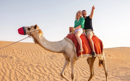 How to Choose the Perfect Dubai Tour Package for Families and Couples