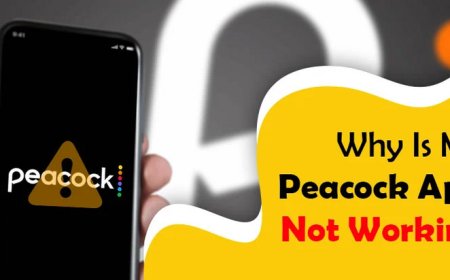 How To Activate Peacock TV on all devices