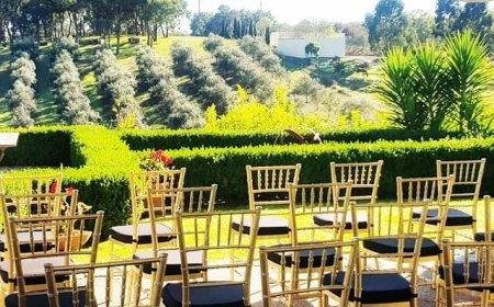 Transform Your Sydney Event with Expert Hire Services