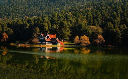 Experience Tranquility at Binsar Resorts: A Journey into the Himalayas