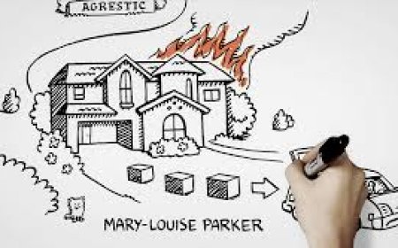 What Sets Hand on a Whiteboard Apart from Other Animation Studios in Calgary?