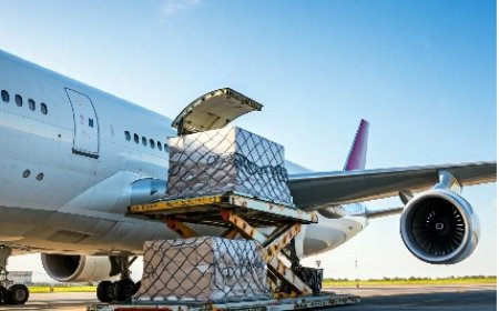 Shipping Support: A Complete Guide for Businesses and Individuals