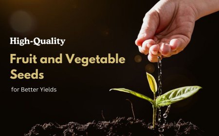 High-Quality Fruit and Vegetable Seeds for Better Yields