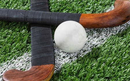 How Hockey Sticks Manufacturers in USA Are Reinventing The Game?