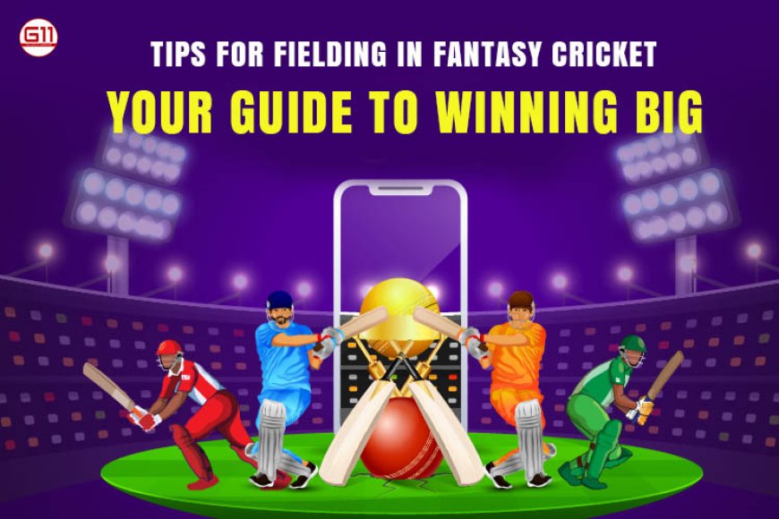 Tips For Fielding In Fantasy Cricket: Your Guide To Winning Big