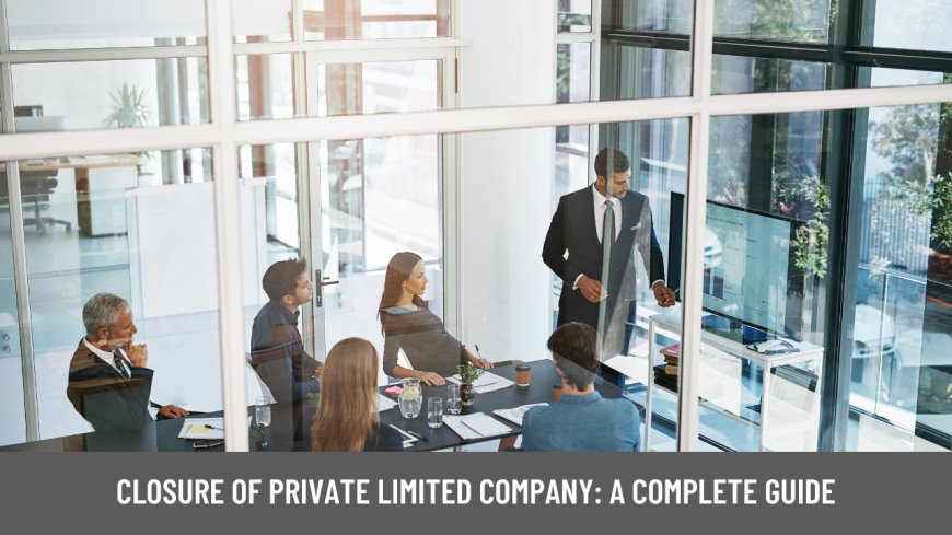 Closure of Private Limited Company: A Complete Guide