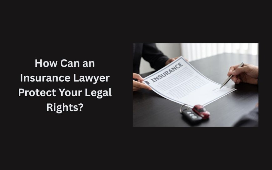 How Can an Insurance Lawyer Protect Your Legal Rights?