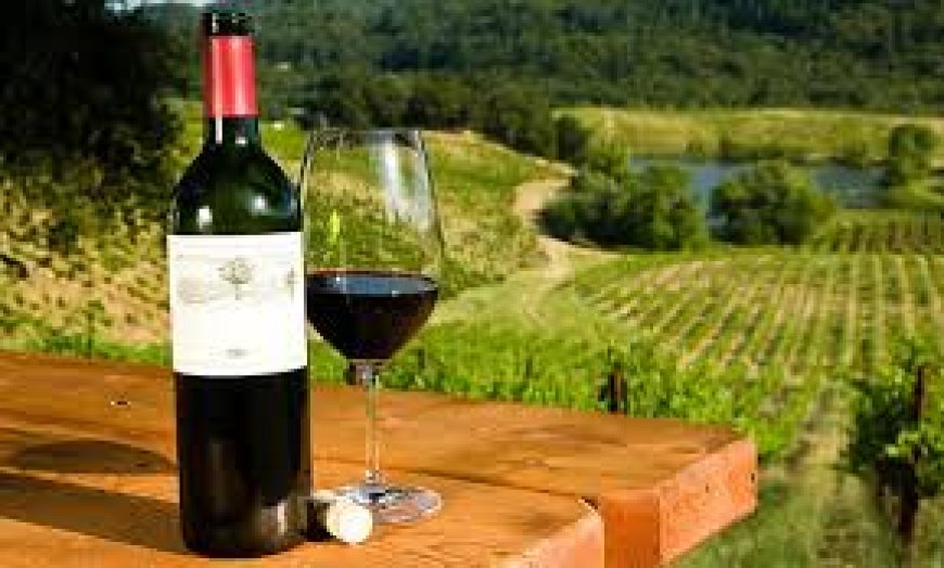 Unleashed indulgence: Get the ultimate private wine tour experience in Australia!!!