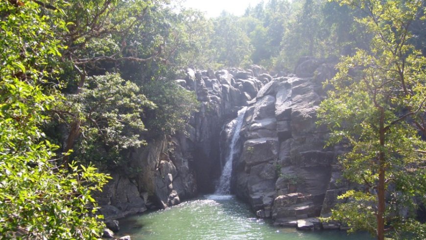 Discover the Beauty of Daringbadi Tour: A Perfect Escape