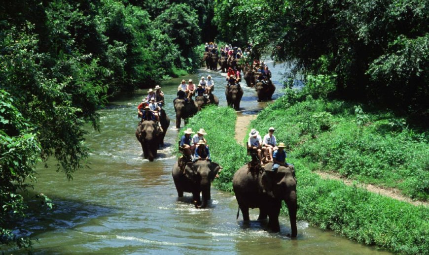 Affordable & Exciting Simlipal Tour Package for Nature Lovers