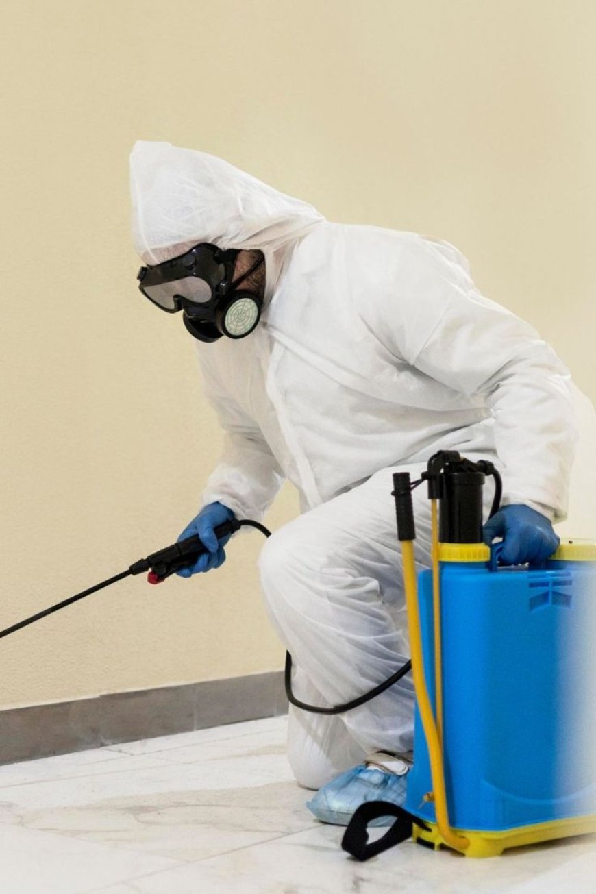 Brooklyn’s Rodent Challenge: A Comprehensive Guide to Effective Rodent Control in the Borough