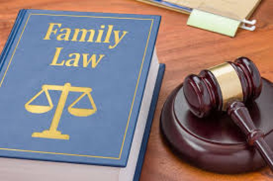 Facing Family Legal Matters? A Closer Look at Common Issues
