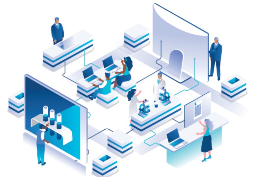 Unlocking Insights: What Your GST Reports Reveal About Your Business