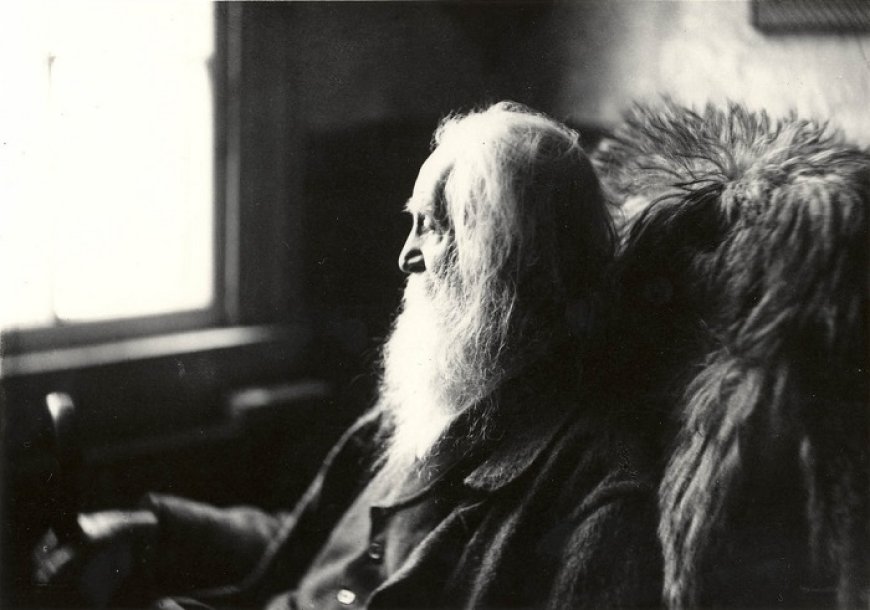 What Role Does Death Play in Walt Whitman’s Work?