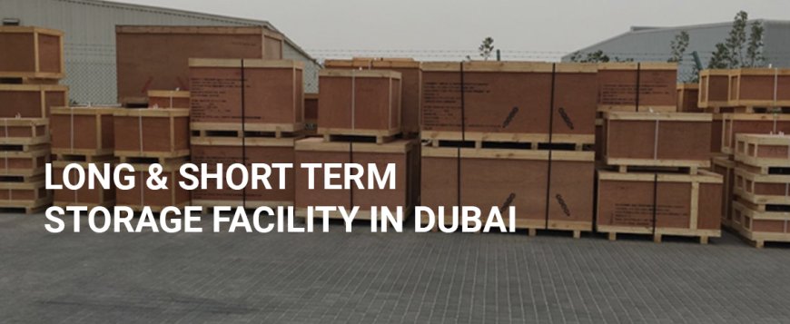 Modern Warehouse Facility in Dubai Supporting Supply Chain Excellence