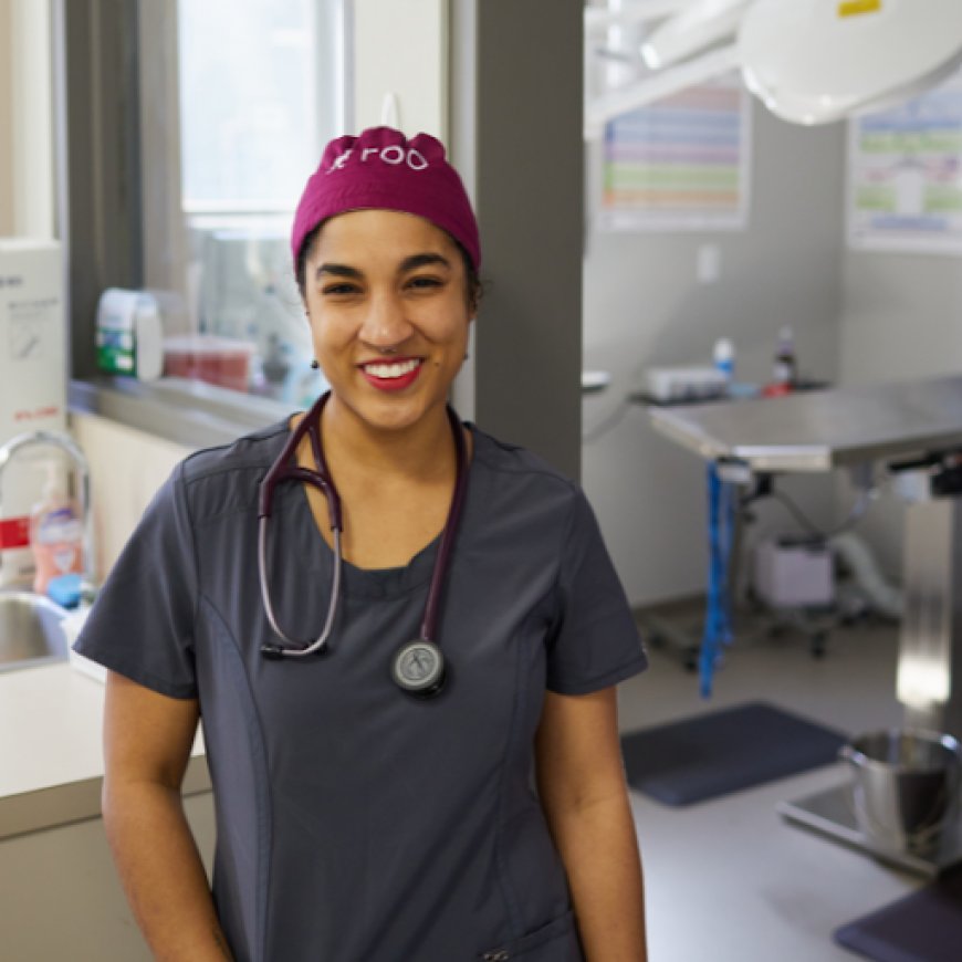 Vet Tech Salary Guide 2025: What You Can Expect to Earn