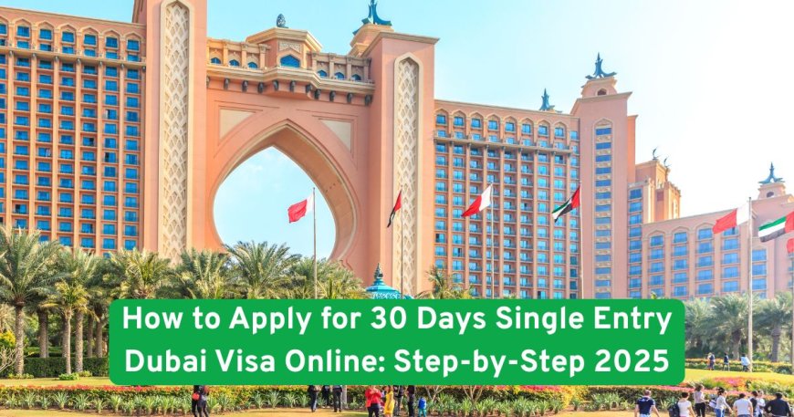 How to Apply for 30 Days Single Entry Dubai Visa Online: Step-by-Step 2025
